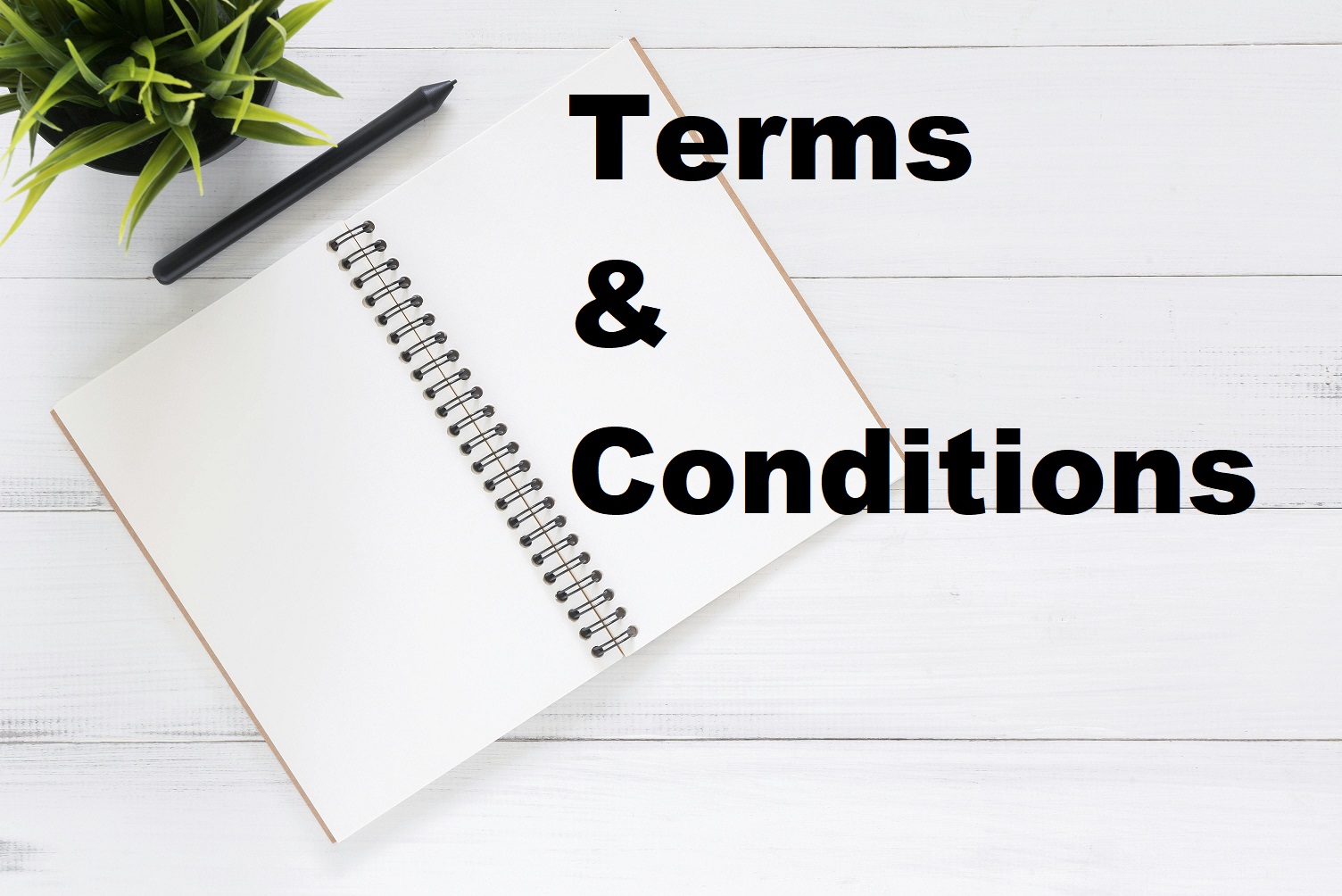 Terms and Conditions